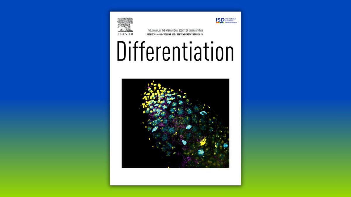 Differentiation Journal tweet media