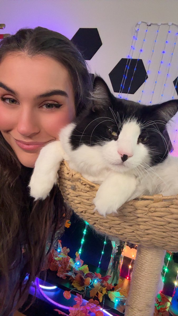 Live now with the cutest little co-star!!💜

twitch.tv/staceyrpg