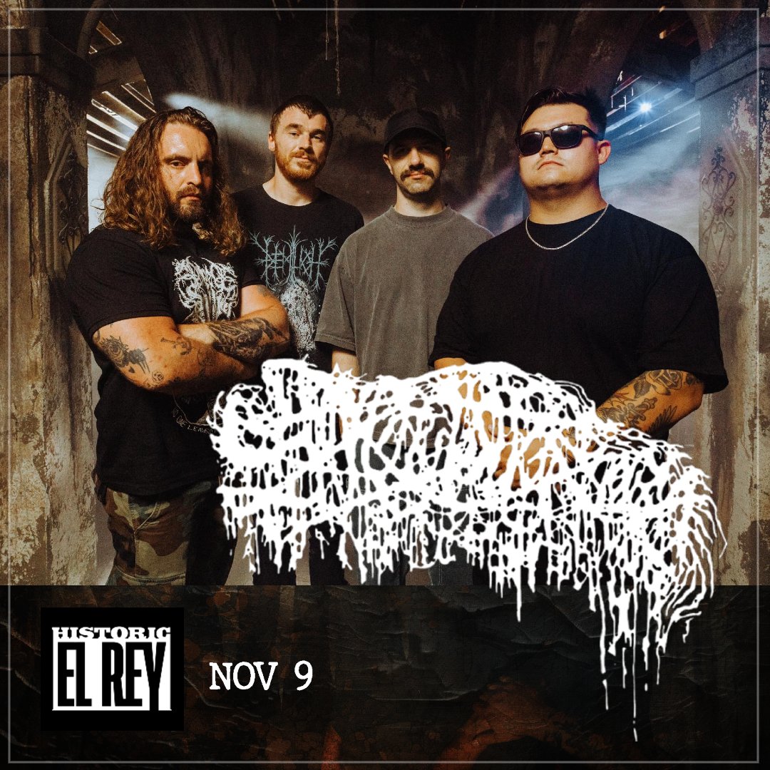 Launchpad tweet media