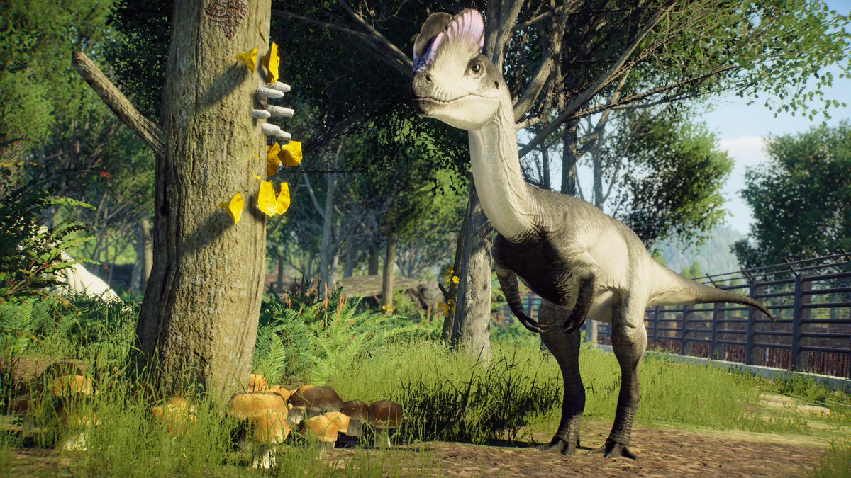 Paleo_Pizza's tweet photo. Today i made a small area inspired by DeadSound's 'Hunted by Moonlight'

https://t.co/vzsVwyjVCi

👑🦕 - @PrehistoricK 

#PrehistoricKingdom
#DinosaurGame
#DeadSound 
#HuntedByMoonlight https://t.co/wByo6xMsx6