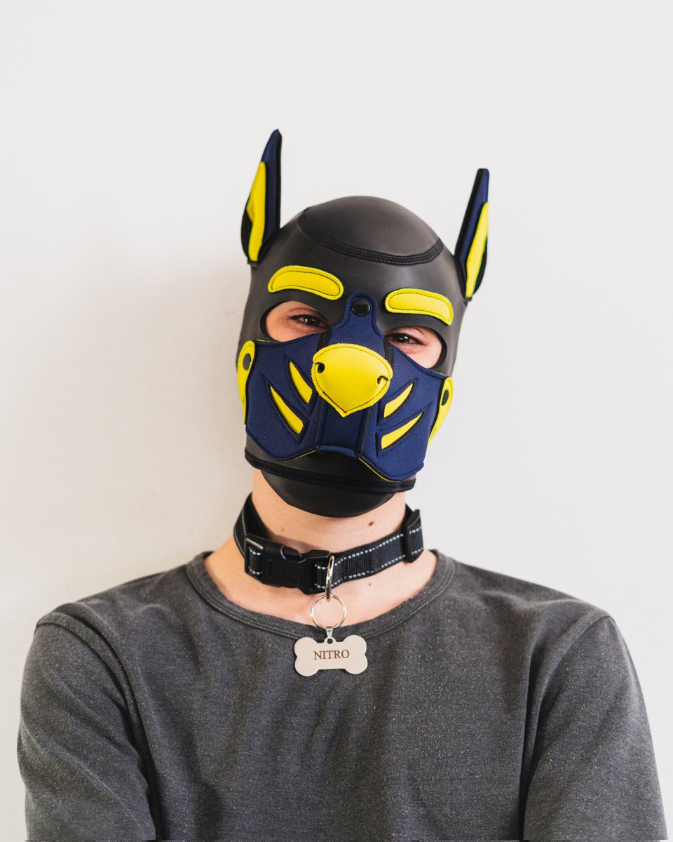 koru_fox's tweet photo. Alright, Idc, these are cute af and I'm so happy when I'm in hood so I'm posting these here as well.

Have a silly dog trying to be cute :3

(was about time I took some good pup pics with my camera, lol) https://t.co/UZ7KLtBZBD