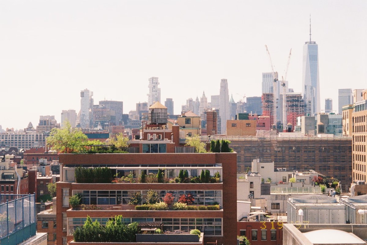 Plentifullyco's tweet photo. Did you know? If we farmed all of NYC’s sunny rooftops, we could feed 20 million people! 🏙️🌱 All that unused roof space has huge potential – talk about penthouse produce. The sky isn’t the limit, it’s the next frontier for urban farming!

Source: https://t.co/nBNk4DpkIo https://t.co/XJOKKMHjKD