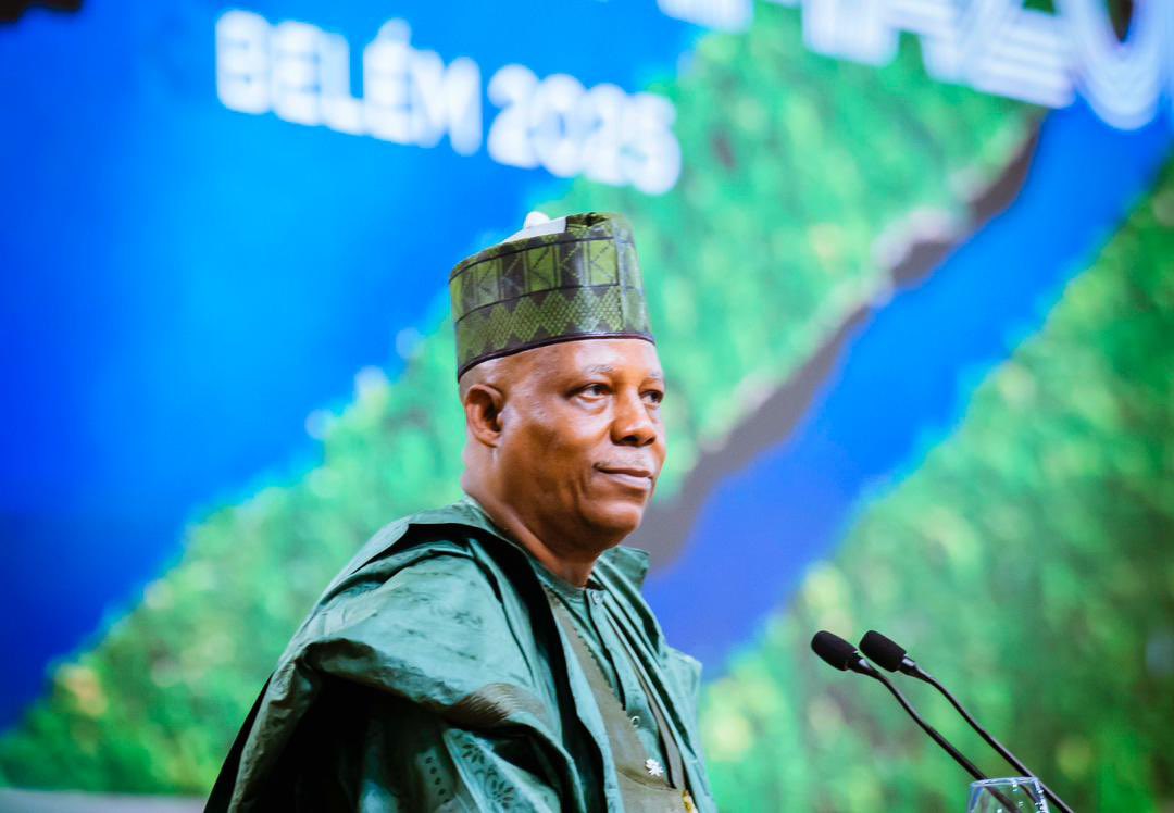 “Nigeria asserts that Africa’s voice must not echo as a cry of vulnerability, but as a chorus of innovation. Our continent is rich in renewable resources, biodiversity, and youthful ingenuity. I hereby say with absolute certainty that we are not the problem; we are an integral