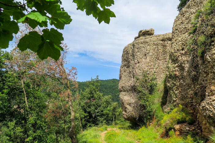 GECASP's tweet photo. Aquest mes anirem fins al #Berguedà per fer una bonica ruta des del petit poble de L’Espunyola cap el Salt de Sallent, el cim del Serrat de Malla amb vistes al Cingle de Malla, veurem la cova de la Bòfia i pujarem fins a Sant Salvador  #100Cims #GECASP 
https://t.co/JOAbyh5OPy https://t.co/LUU1VUcIA2