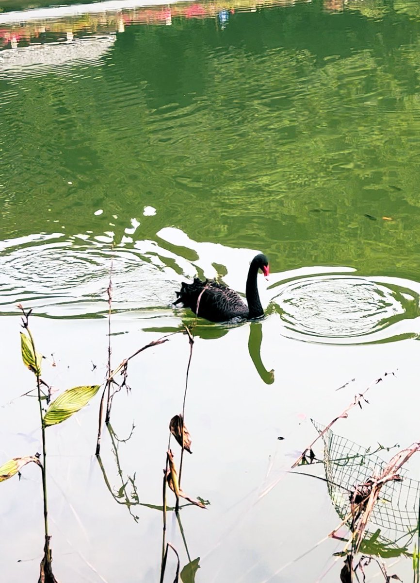L0uis3B's tweet image. #Floating