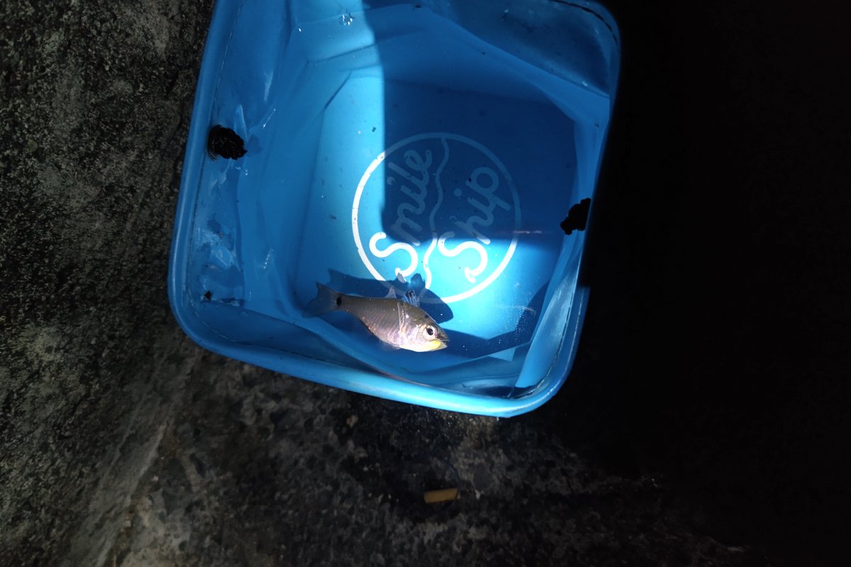 ┏┛舞華┗┓† on X