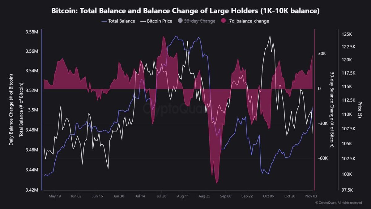 LATEST: Bitcoin whales added nearly 30,000 BTC this week, worth nearly $3  billion, while retail panic and ETF outflows dominate the headlines. Data  from @cryptoquant_com and analyst @JA_Maartun