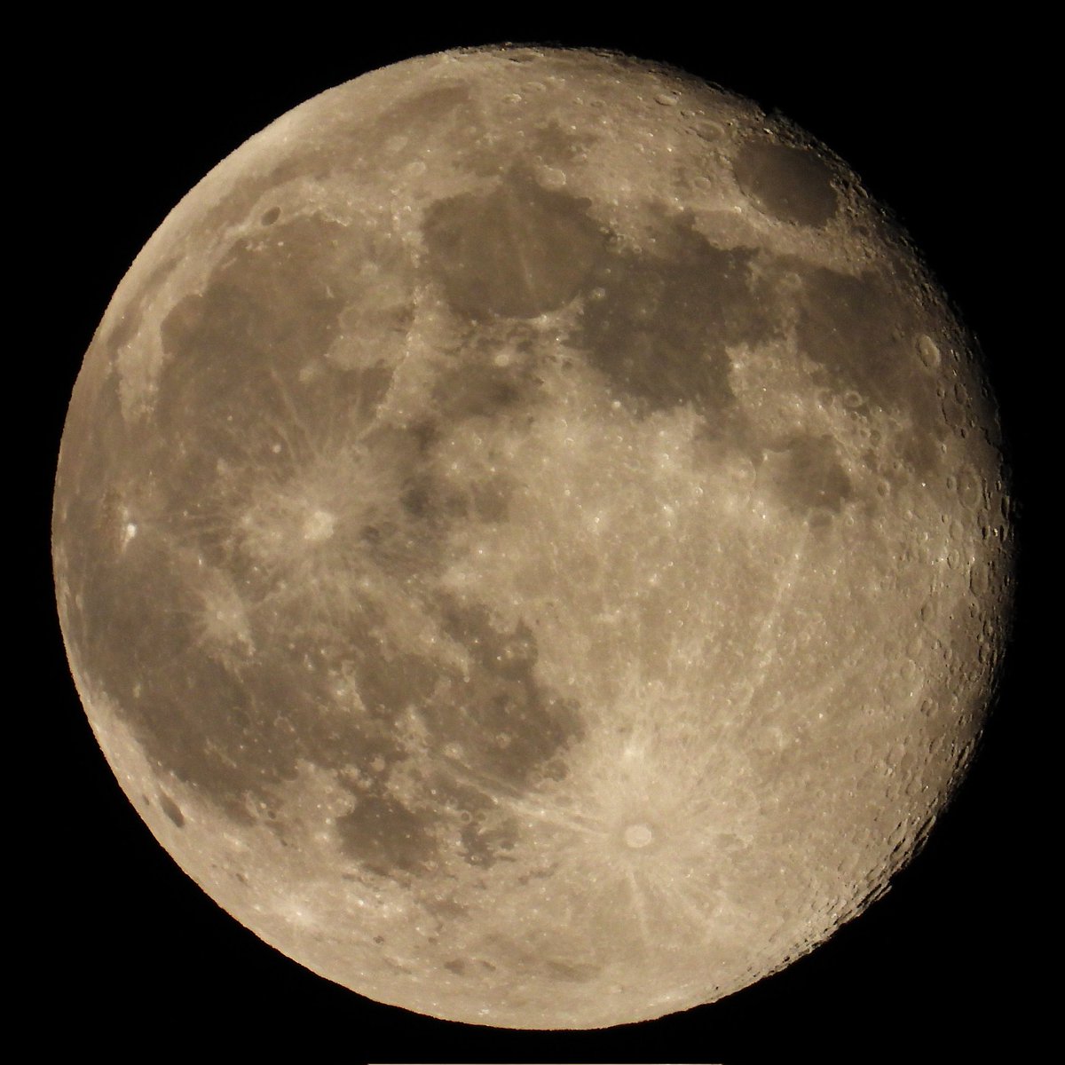 FunkyAppleTree's tweet image. My Beaver&apos;s waning. Still looks super. 🦫🌖 @StormHour @ThePhotoHour #London #BeaverMoon
