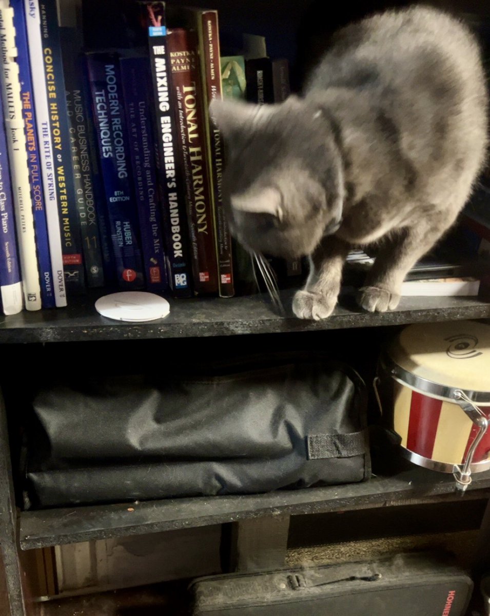 Ian P. Lewis | Composer 🎵 tweet media