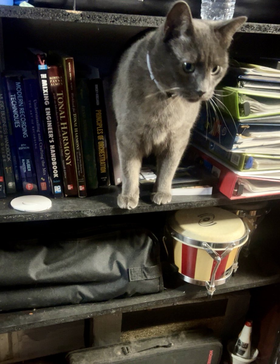 Ian P. Lewis | Composer 🎵 tweet media