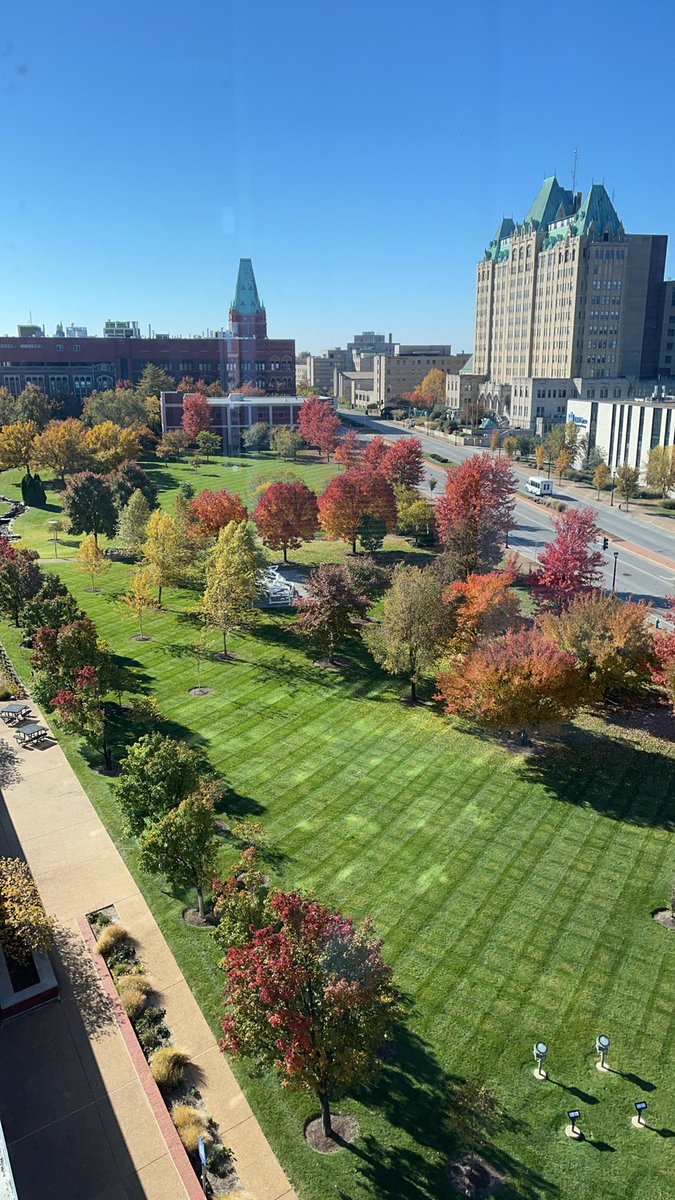 Nice day outside. Lab has a view.