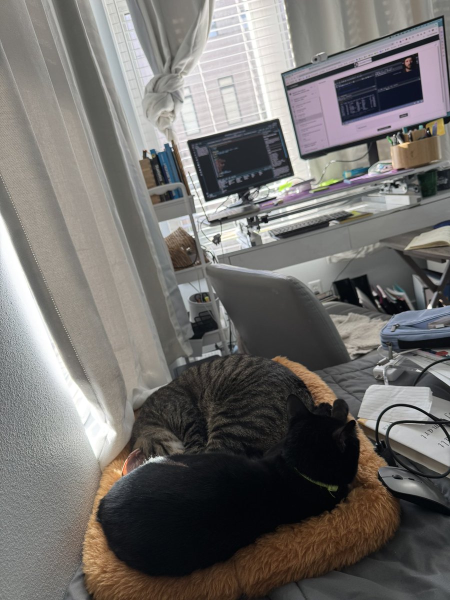 mrs_rieske's tweet photo. We all love work-from-home Thursdays. https://t.co/DmM72z6SVV