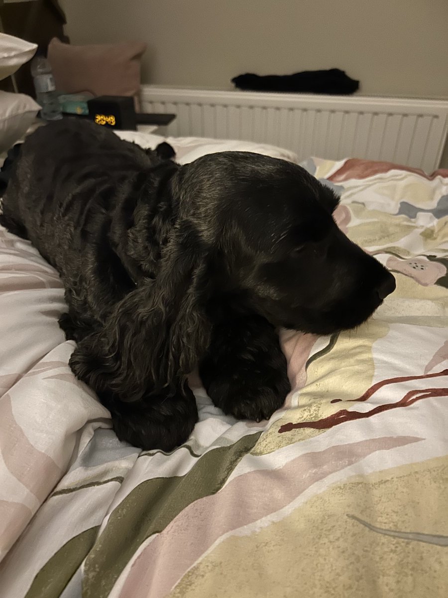 Of course I’d prefer my own bed but I’m doing this for Dad so he comes home to a warm spot 🥰