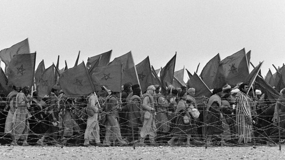 WesternSaharaQ's tweet photo. 50 years ago.. Moroccans fought for their land in #WesternSahara in a unique way, 360 thousands of people marched peacefully to kick out the Spanish occupation .. and it's called the #GreenMarch ..
Half a century passed, but every year on the 6th of November, every Moroccan feels proud and glory, how Morocco could end one of the most heinous form of #Occupation that existed in the world ..