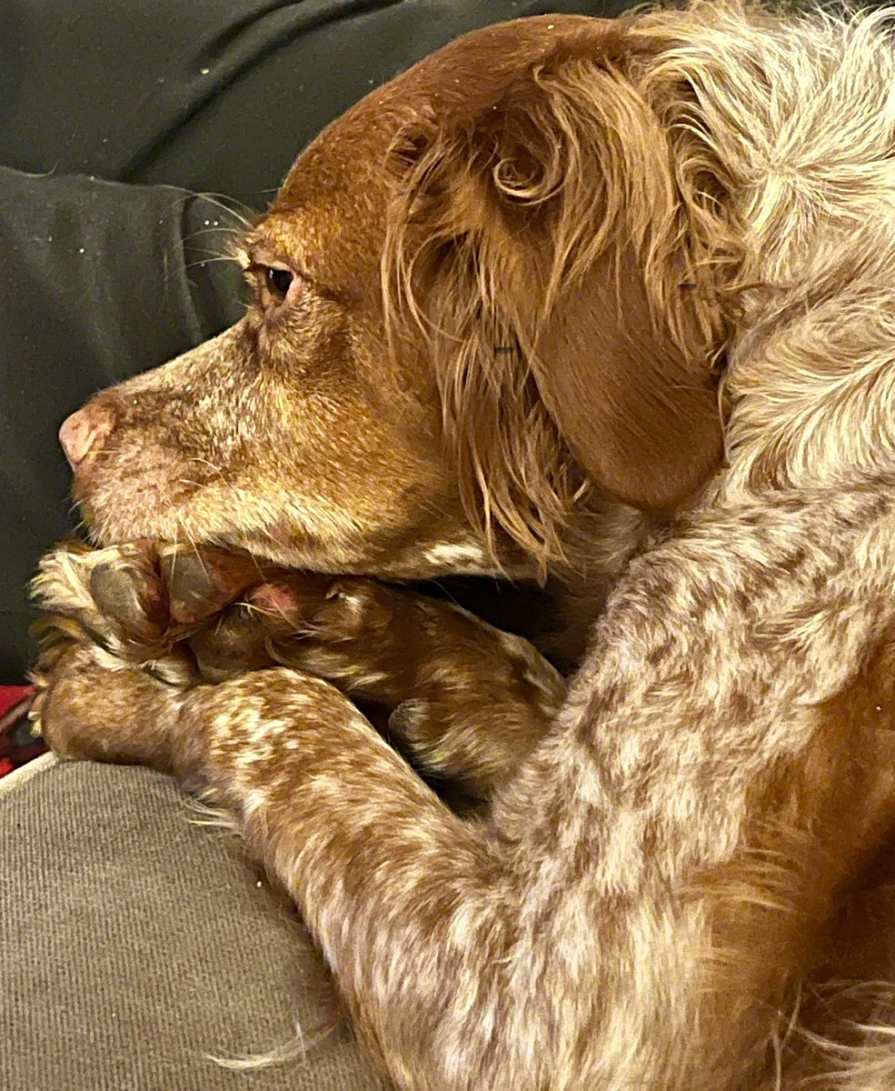 Ginger nad něčím přemýšlí, ale nemůžu z ní dostat, o čem…