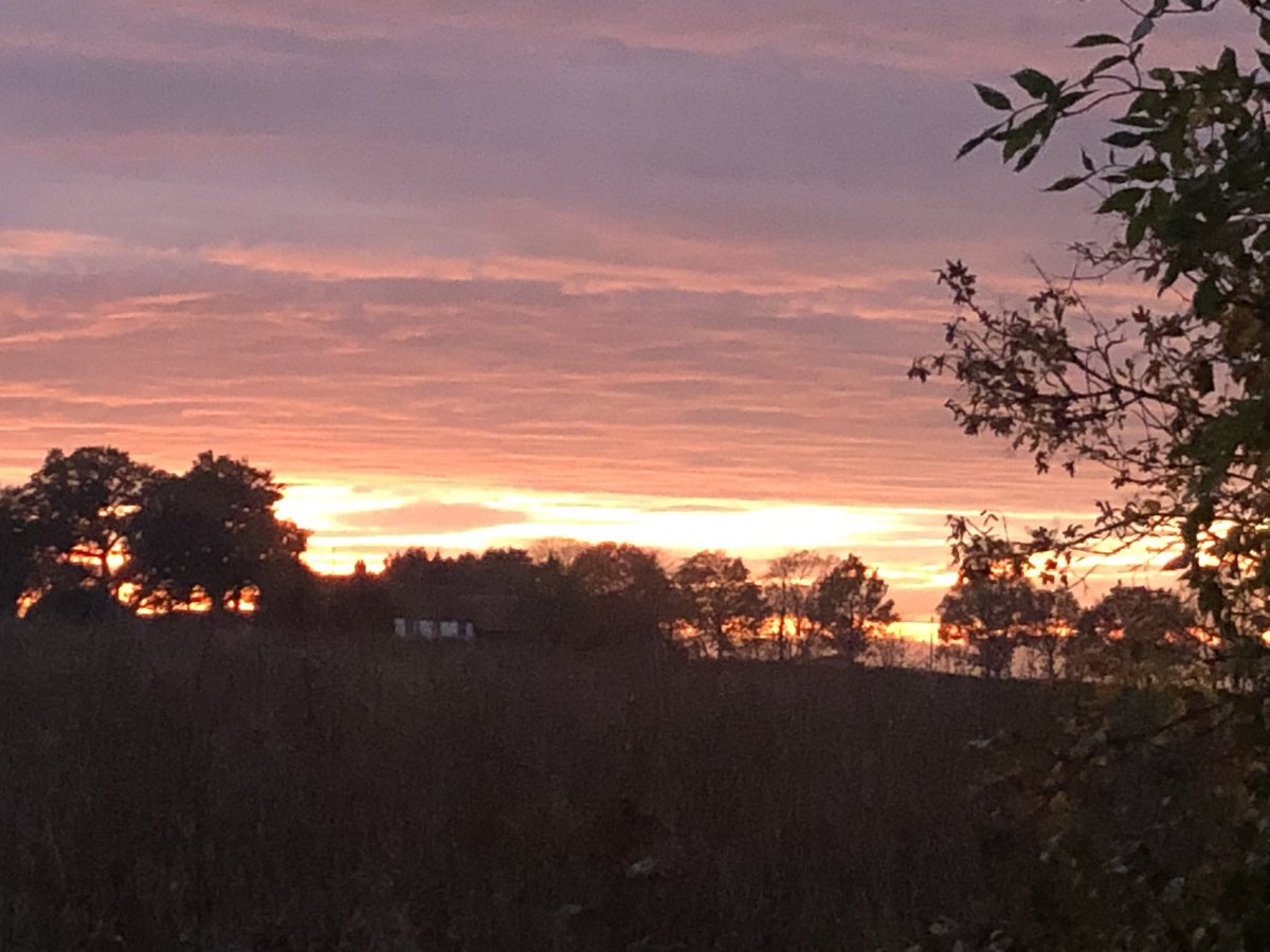 Lovely to be back out with Baloo 

We met everyone at Chelmsford Police Station. Some teams have been dealing with some really difficult crimes. Good to see them have a couple of minutes of cuddles with Baloo 

#spreadingsmiles 💙 🐾🐾🐾