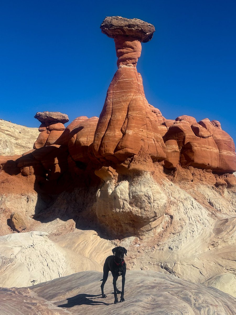Had to make a little pit stop to stretch our legs on the drive back home to Flagstaff after a great few days in St. George. Found this cool trail just off the side of the highway! Did I mention my territory is the best?