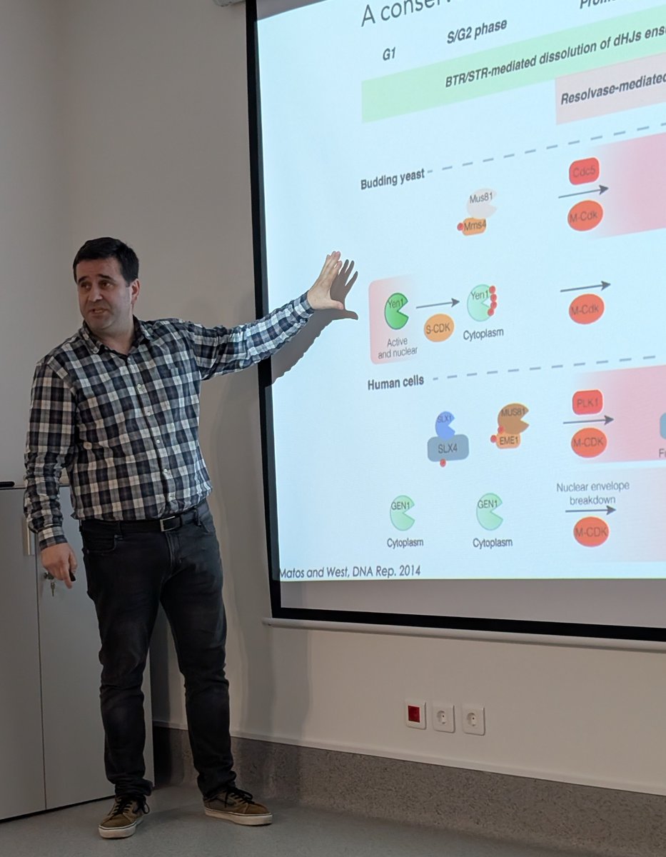 Veronique Smits tweet media