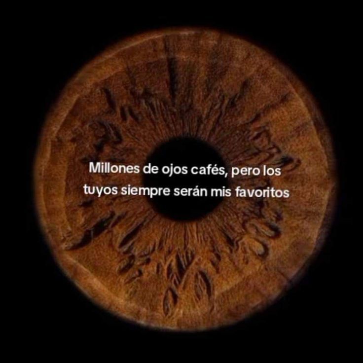 vibes (@vibesfyp) on Twitter photo 