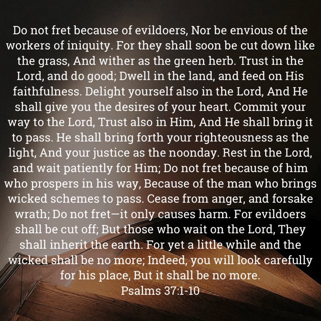 Good evening to One and All Praise Yah Happy Thursday to You and Your Families Enjoy your Wonderful Day ( STAND) when you have done all you can 🙏❤️💜🤍💕💙🩵🧡💗💚🤎🩶💖🖤💛🩷👋🏼👍🏼🙌🏼👌🏼😀