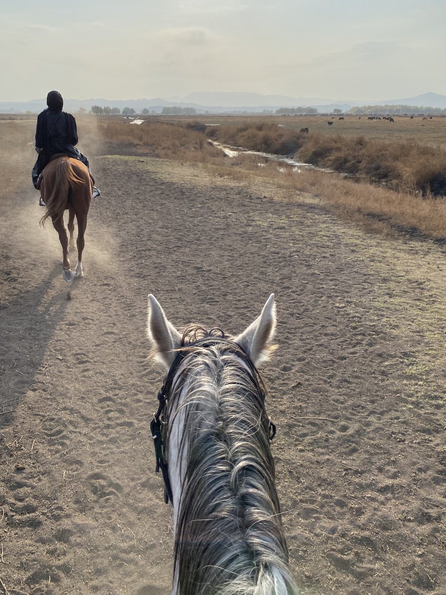 son zamanların en iyisi