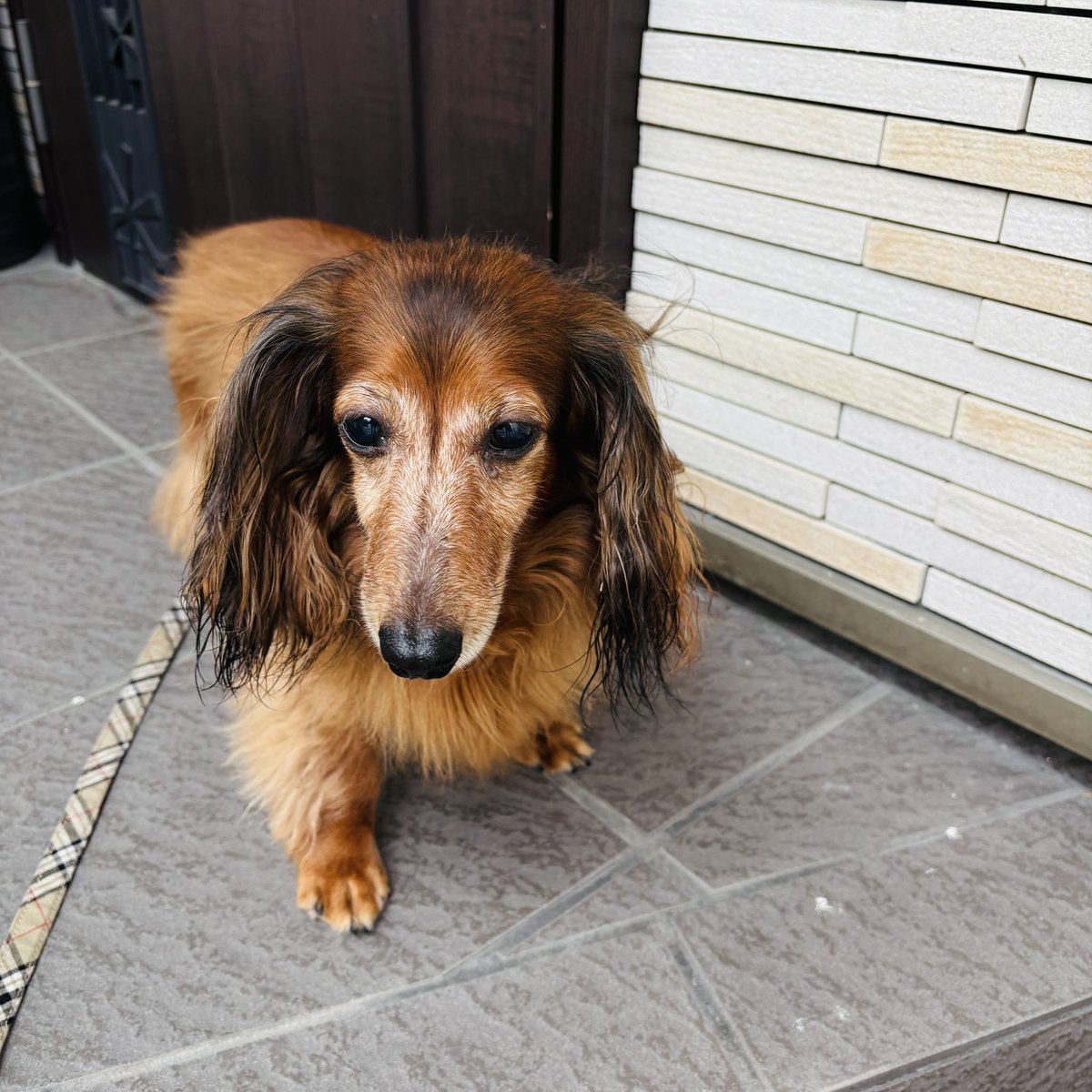 蘭丸ページ 蘭丸1号機 on X