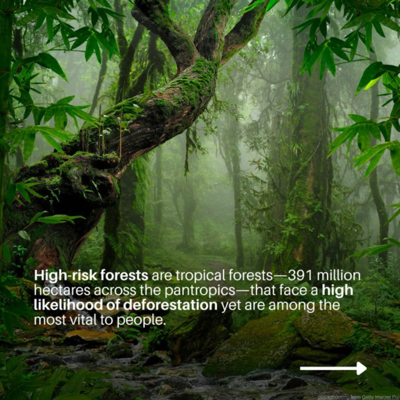 UN's tweet photo. 53 million people rely on high-risk tropical forests for water, food, jobs, and disaster resilience.

Tripling investments in these forests can drive growth and boost the fight against climate change and biodiversity loss.

@UNEP explains how. ⬇️