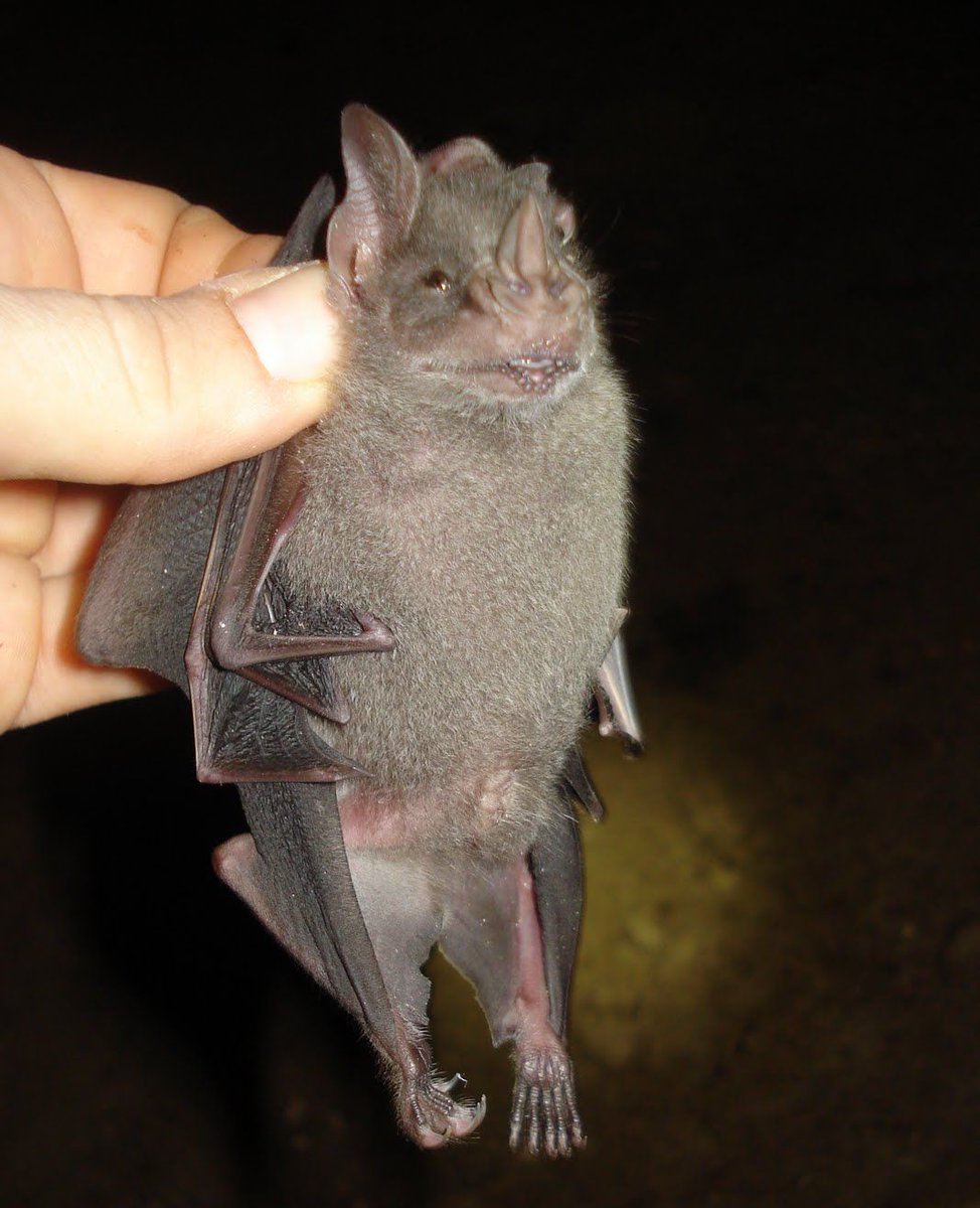 US Chemical Safety & Hazard Nonaffiliate tweet media