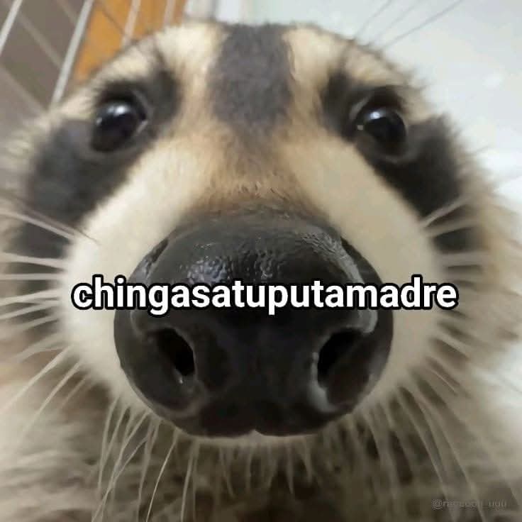 M O T I V A N D O T E (@m0tivand0te) on Twitter photo 