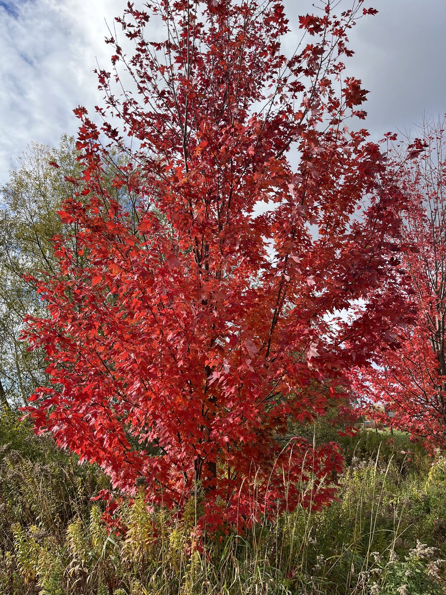 Joe Mathieu (@joe_mathieu_) on Twitter photo 