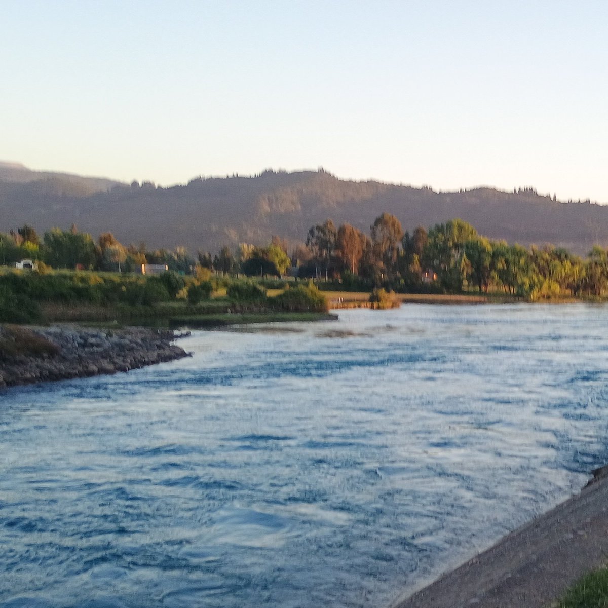 Ula gente quería pedir disculpas a las personitas que aún les debo comis, octubre fue un mes super ocupado moviendome a una nueva casa al sur, estoy trabajando cuidando a mi abuelita y la verdad me consume mucho tiempo de mi día, fin del comunicado que se escaparon las cabras 🐐