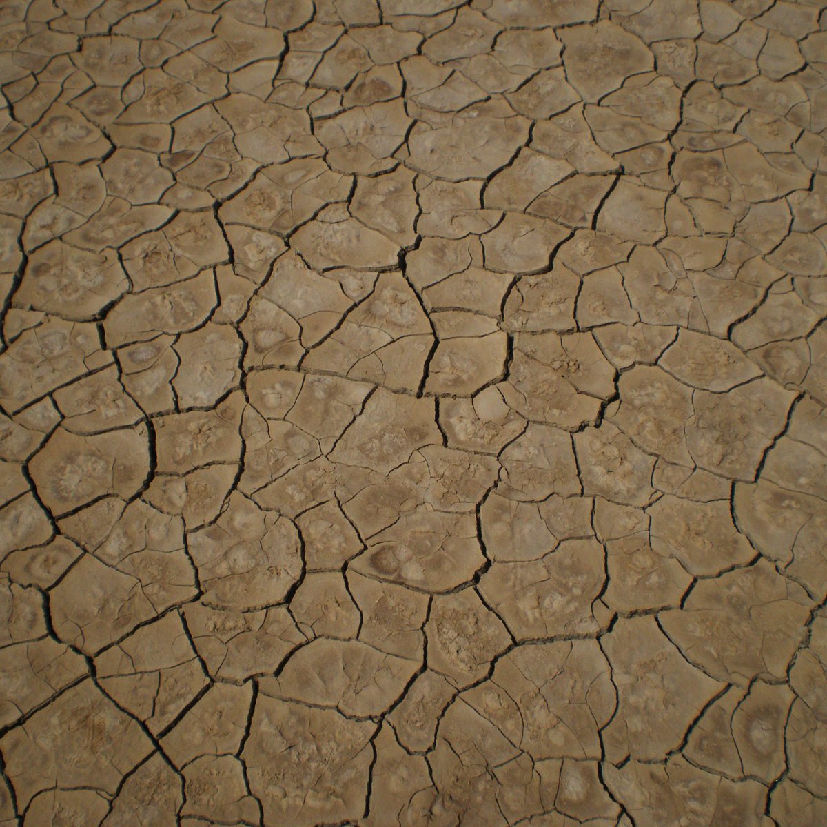 Gusholder Haber Bülteni tweet media