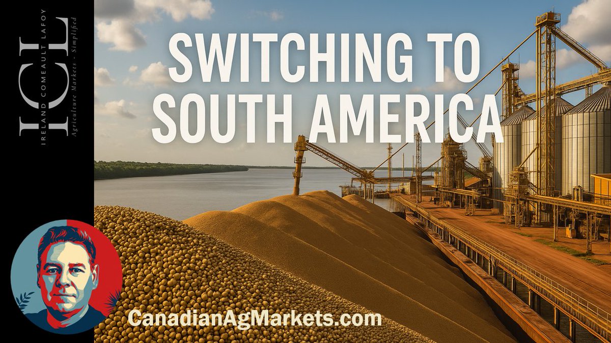 China's soybean purchases of US beans has been lackluster.  Brazil is winning the business.  What's happening?
youtu.be/kb8acOEhrc8
#soybeans #canola #cattle #wheat
