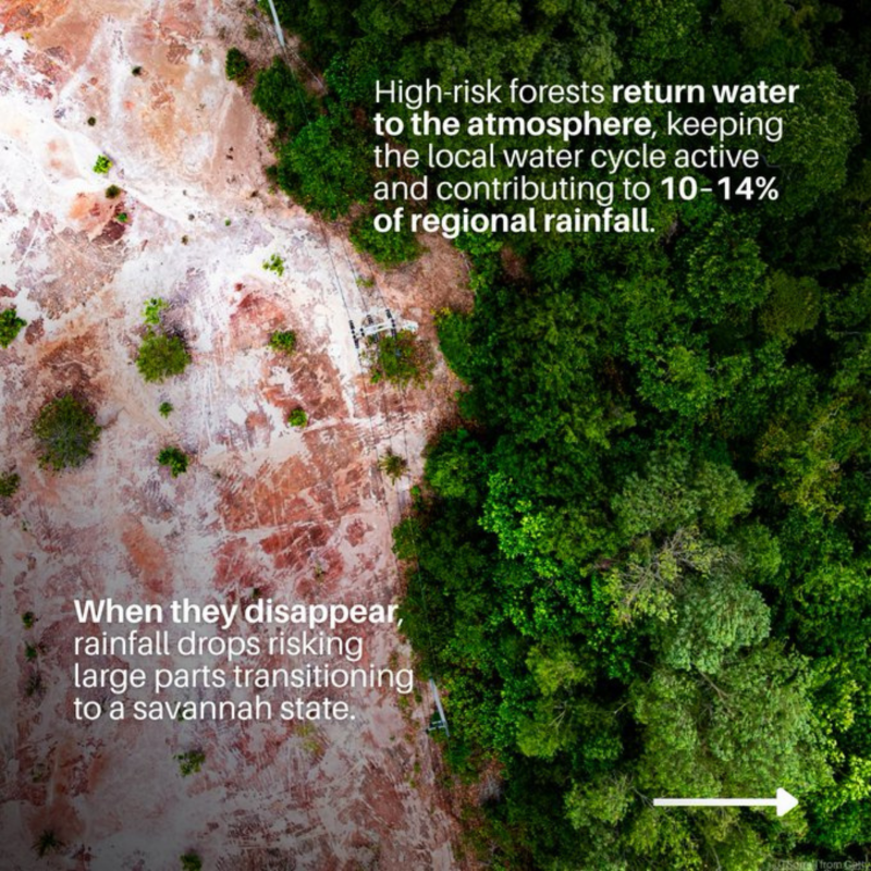 UN's tweet photo. 53 million people rely on high-risk tropical forests for water, food, jobs, and disaster resilience.

Tripling investments in these forests can drive growth and boost the fight against climate change and biodiversity loss.

@UNEP explains how. ⬇️