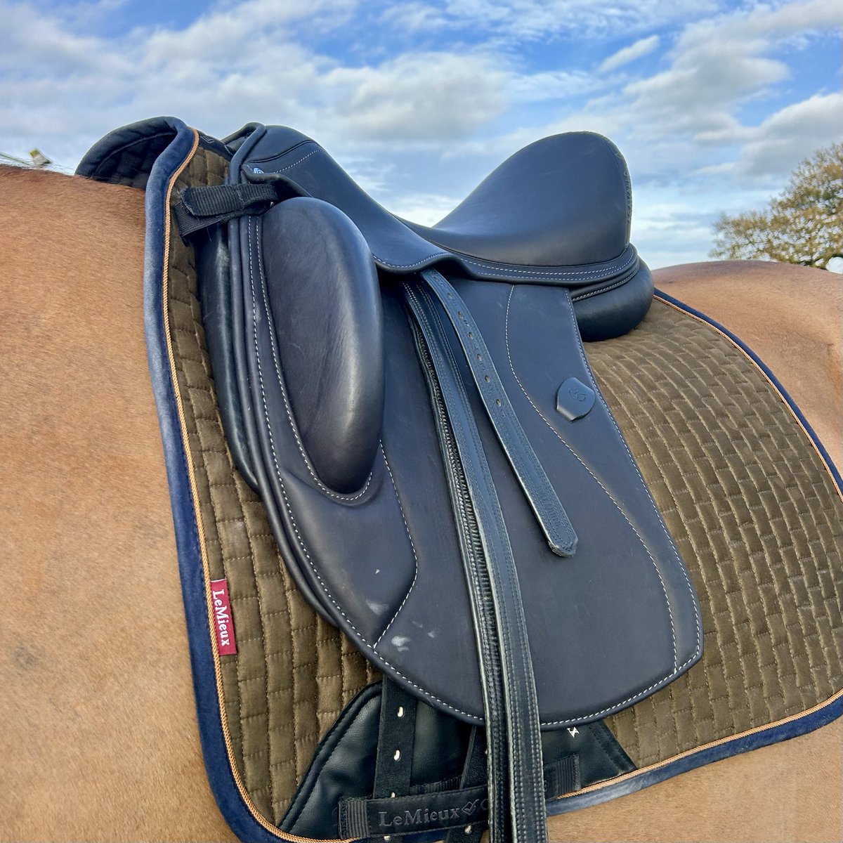 equine_advisor's tweet photo. Yesterday I took a trip across the M62 to hang out with the Crewe Crew to have a play with the new Acavello saddles. 

Adjustable and lightweight I’m hoping to get some demo stock in the new year so shout up if you’re interested in trying them. 

0️⃣7️⃣7️⃣2️⃣4️⃣ 7️⃣5️⃣8️⃣8️⃣2️⃣1️⃣ https://t.co/AVji4aupQP