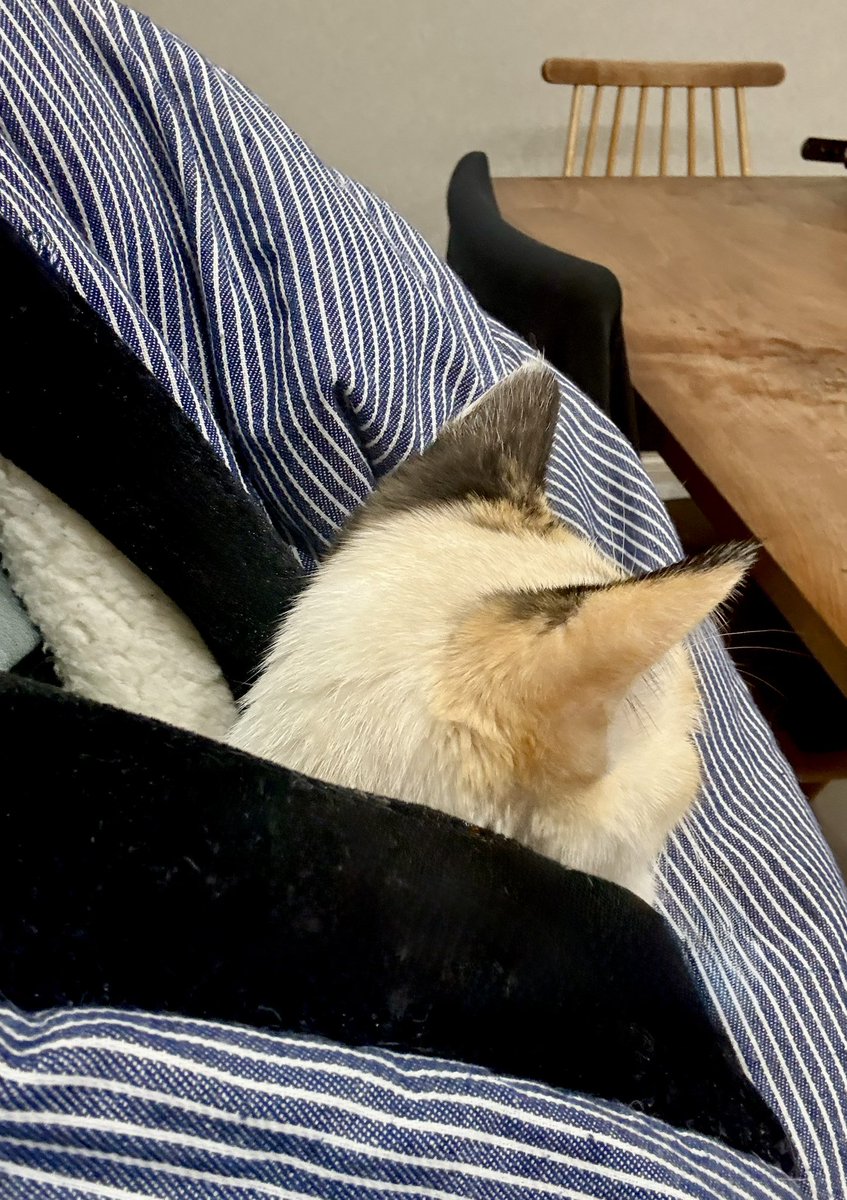 まめちゃん、おはよ～