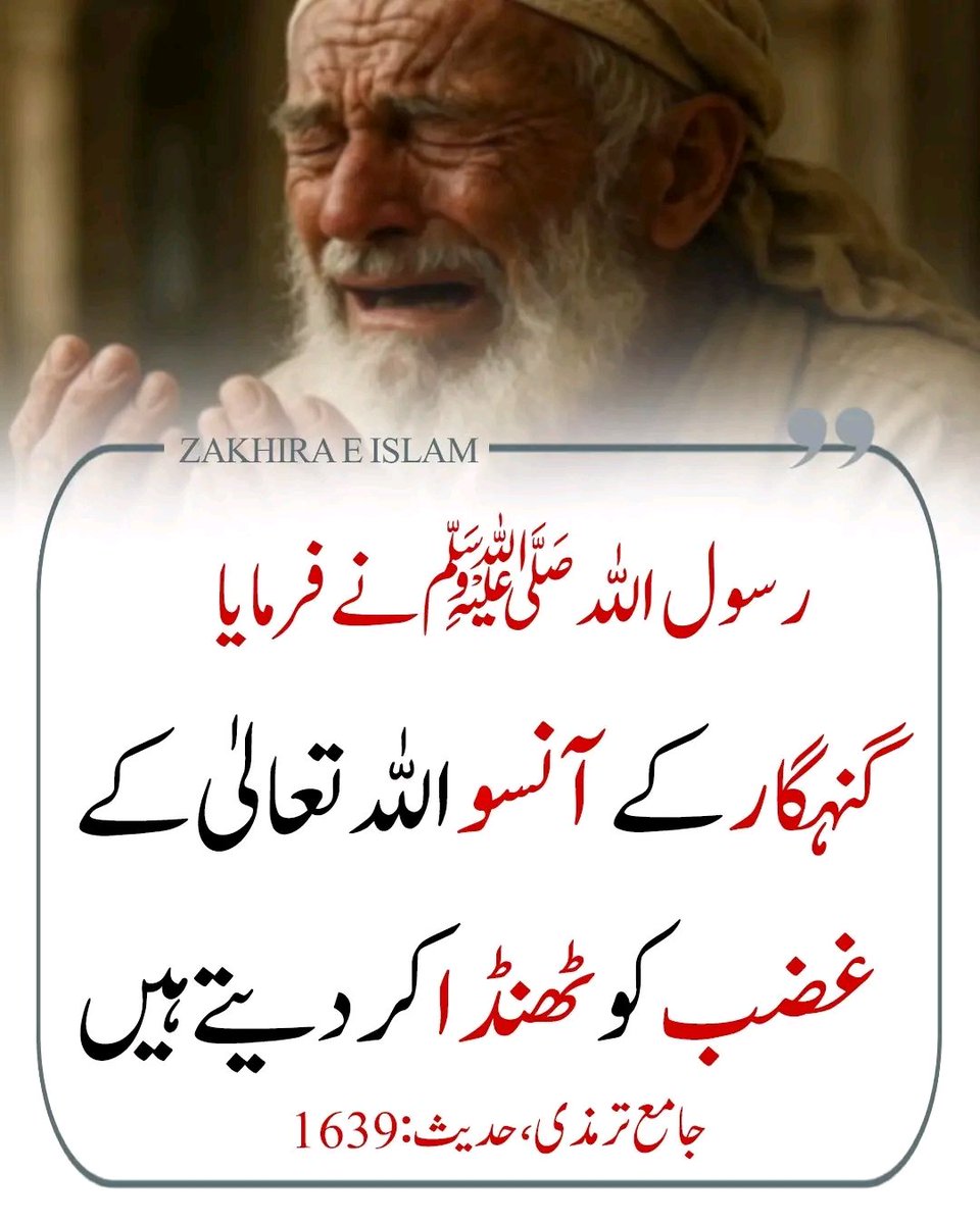 ChotiSheikhni's tweet image. 