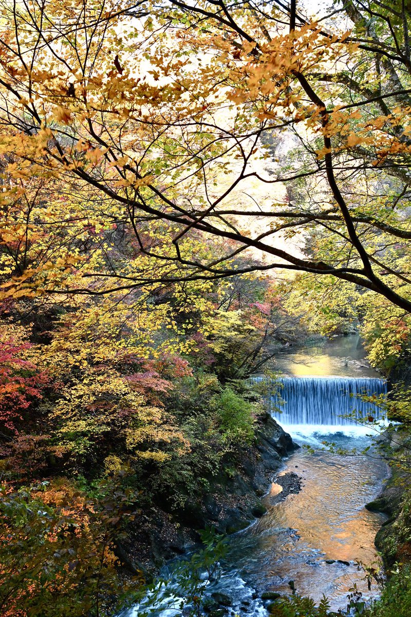 風景写真 Community on X - 7.0K Members