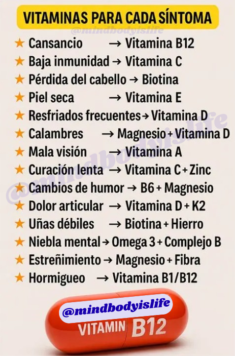 VITAMINAS Y SÍNTOMAS💊

¿Sabías que algunas deficiencias de vitaminas y minerales pueden reflejarse en síntomas comunes como cansancio, caída del cabello o uñas débiles? 
En esta guía encontrarás qué vitaminas están relacionadas con cada señal de tu cuerpo.

Recuerda: la