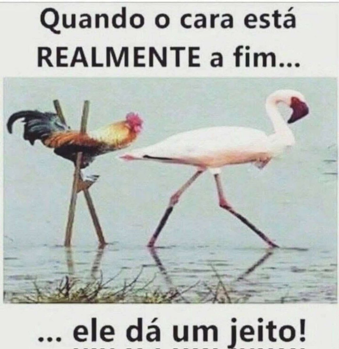 Vocês vão pagar caro. tweet media