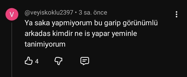 embesili domuz aydın