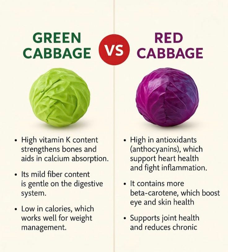 KristenJakobitz's tweet image. #Cabbage is a good source of vitamins C, K, and B6, as well as fiber, potassium, and magnesium. Choose the type that best suits your dietary needs and preferences, and prepare it in a healthy way.  
#MidlifeNutrition #HealthyEating