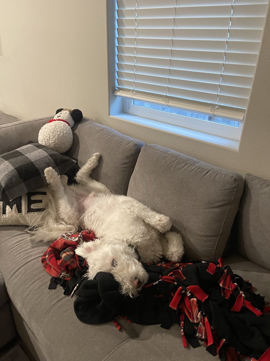 Daniel Comstock tweet media