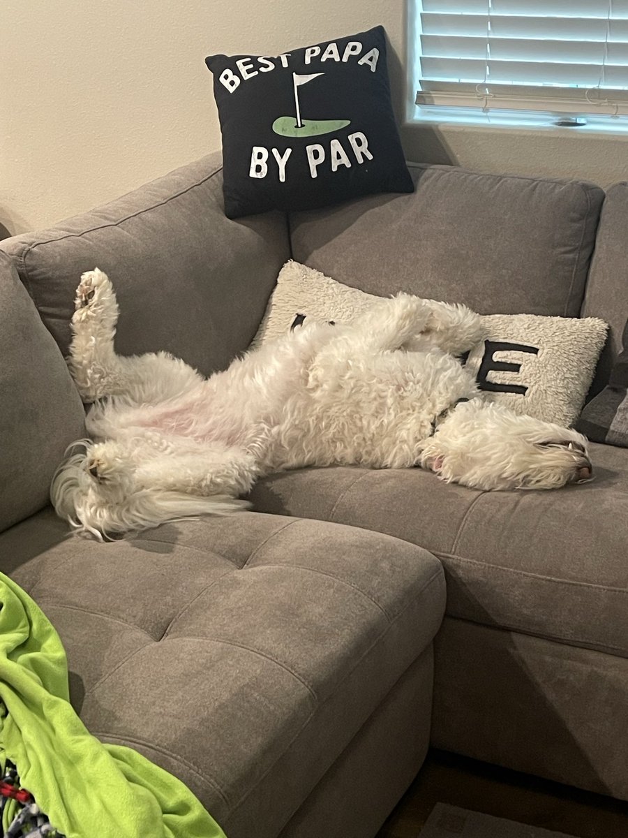 Daniel Comstock tweet media