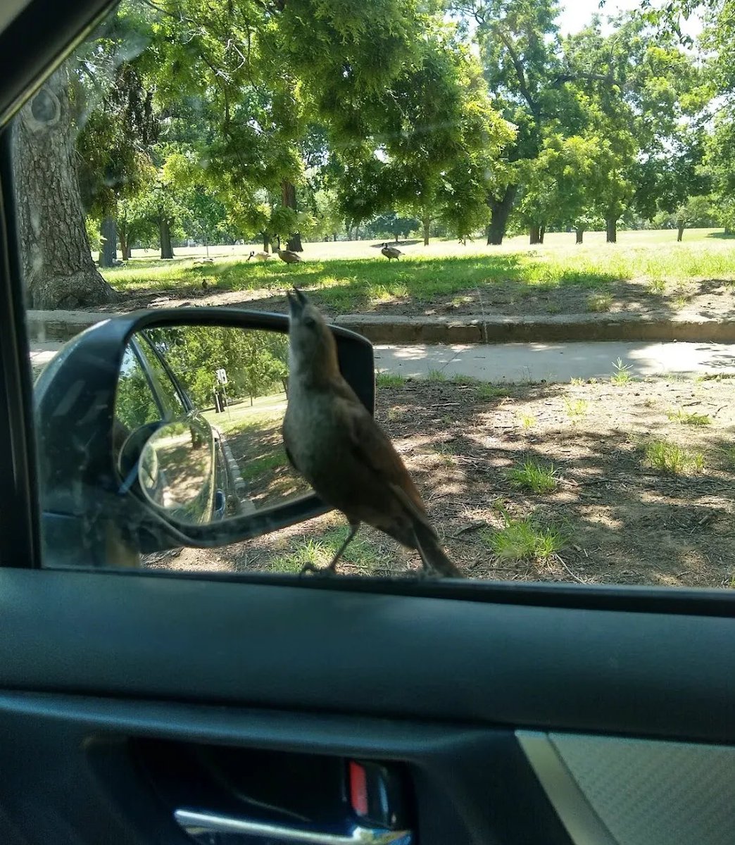 Grant Snider tweet media