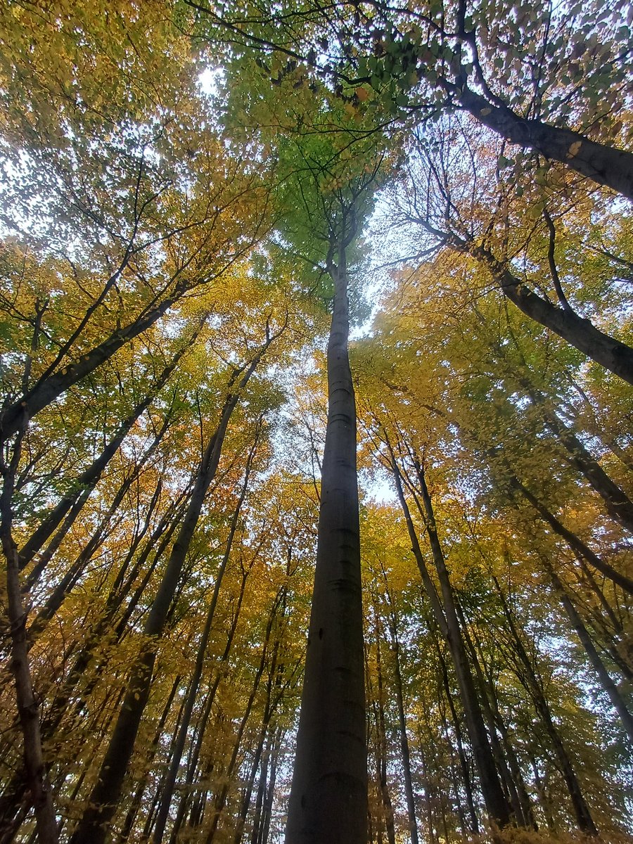 camerasnapshots (@camerasnapshots) on Twitter photo 