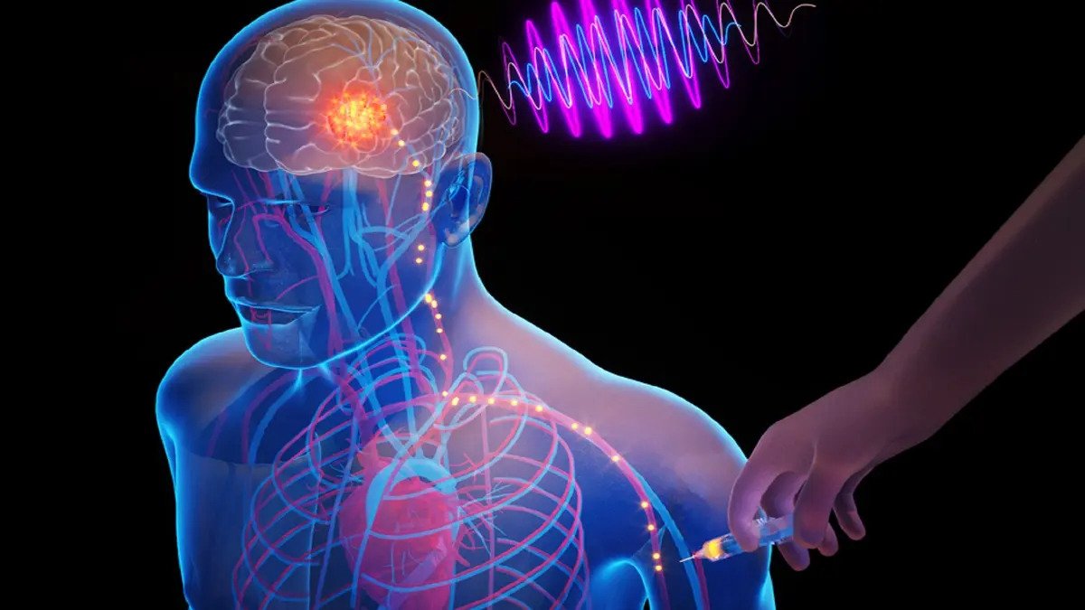 🇺🇸 MIT JUST MADE “INJECTABLE BRAIN CHIPS” A THING

MIT scientists just dropped what sounds like sci-fi: microscopic “circulatronic” chips that can be injected into your bloodstream.

They travel to your brain, and self-implant, all without a single cut.

Once settled, these tiny