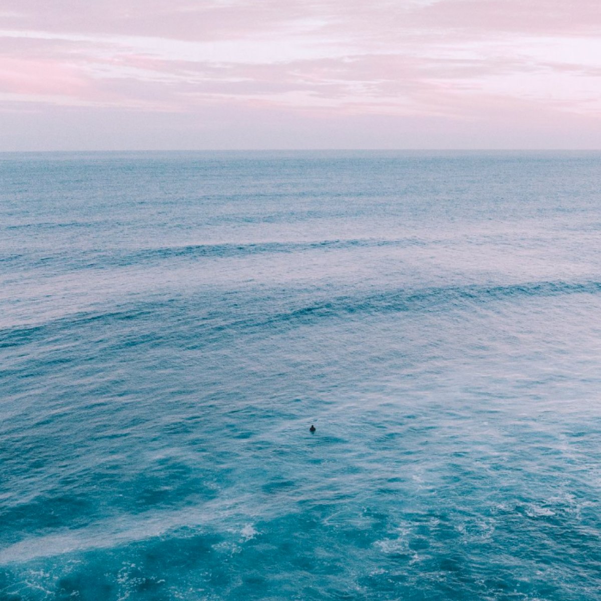 Port Stephens looking unreal from above 💙🌊

The colours, the water, the coastline — it all speaks for itself.
Staying at the sanctuary means you’re just minutes from views like this.

📷: Stunning shot by @jezzeka.brown
