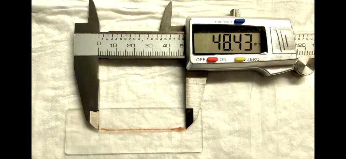 Belen Martinez Moreno tweet media