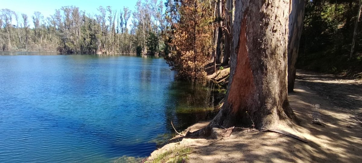 #CuidemosElEntorno🌎 Mantenemos un compromiso permanente con la protección del medio ambiente y una gestión sostenible, por ello, realizamos un nuevo operativo de limpieza en la ribera del tranque La Luz en #Curauma, #Placilla de Peñuelas, #Valparaíso.